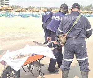 Activan vigilancia en el sur por derrame