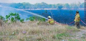 Incendio arrasa con lotes enmontados