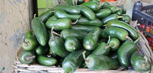 Se disparan chile y aguacate