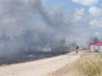 Incendios ponen en jaque a Bomberos