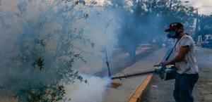 Refuerzan acciones contra el dengue en San Fernando