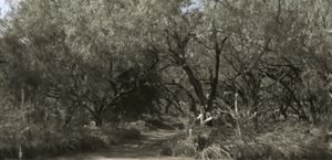 Monitorean con láser las áreas recreativas de Mission