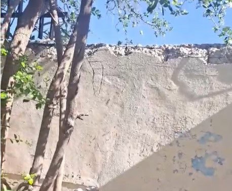 Denuncian riesgo de colapso en barda de escuela