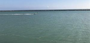 Monitorean chapopote en las costas de Tamaulipas