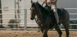 Refuerza vigilancia con 15 caballos BP