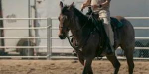 Refuerza vigilancia con 15 caballos BP