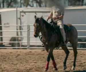 Refuerza vigilancia con 15 caballos BP
