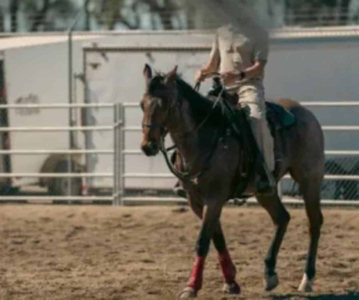 Refuerza vigilancia con 15 caballos BP