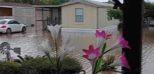 De pronóstico reservado a un devastador evento