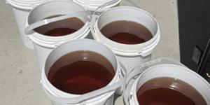 Incautan insecticida en Puente Juárez Lincoln