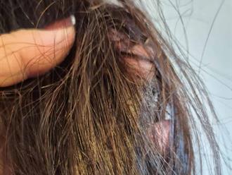 Donan en Nuevo Progreso cabello y atender derrame en el Golfo