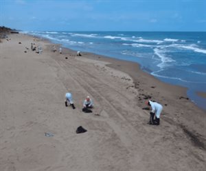 Pemex destina 15 mdp para pescadores por derrame de Petróleo