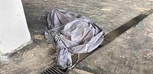 Aficionado muere en el Estadio Banorte previo al México-Portugal