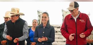 Logramos autosuficiencia  en frijol: CSP