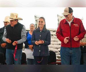 Logramos autosuficiencia  en frijol: CSP