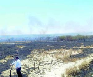 Fuego consume agostaderos en San Fernando y Cruillas