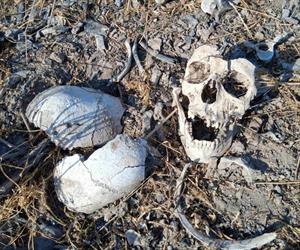 Octavo hallazgo positivo de colectivo de búsqueda