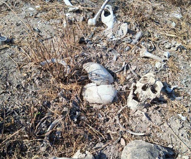 Localizan más restos humanos