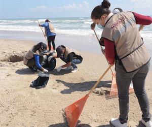 Residuos de petróleo amenazan a tortuga lora