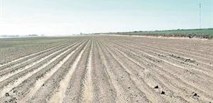 Sequía y la falta de  apoyos dan golpe al  campo de Tamaulipas