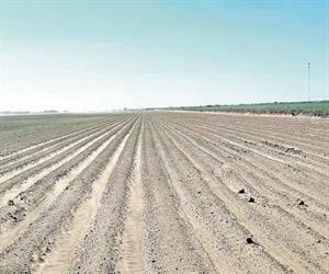 Sequía y la falta de  apoyos dan golpe al  campo de Tamaulipas