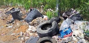 Crecen basureros clandestinos y aumentan plagas de zancudos