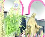 Celebran fieles católicos el Domingo de Ramos Celebran fieles católicos el Domingo de Ramos