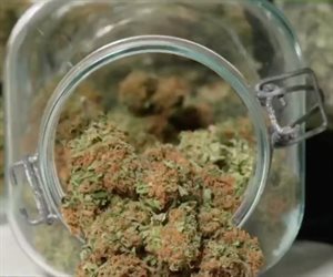 Nuevas regulaciones para CBD y cáñamo