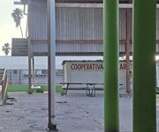 Las escuelas en Reynosa quedan vacías: 104 mil estudiantes de vacaciones hasta el 13/4