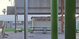 Las escuelas en Reynosa quedan vacías: 104 mil estudiantes de vacaciones hasta el 13/4