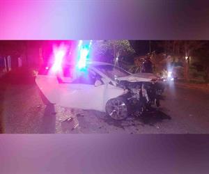 Chocan y arrancan palma de raíz en Río Bravo