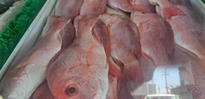 Aumenta la demanda de pescado y marisco