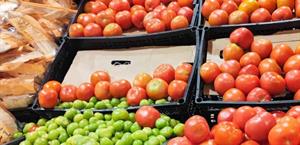 Se dispara precio del  tomate, duplica costo