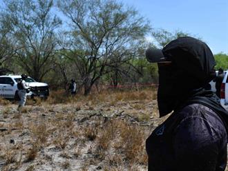 Descubren 8 cráneos en cementerio clandestino