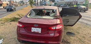 ¡Derriban palmeras!