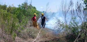 Sofocan incendio que amenazaba red eléctrica
