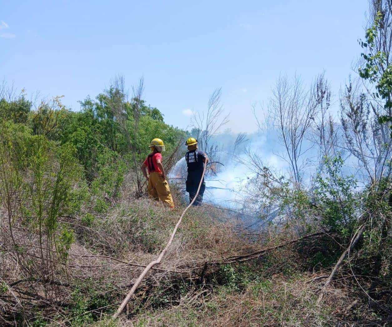 Sofocan incendio que amenazaba red eléctrica