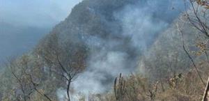 Combaten dos siniestros en la sierra de Tamaulipas