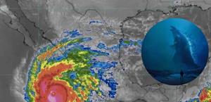 “Niño Godzilla” alerta a científicos