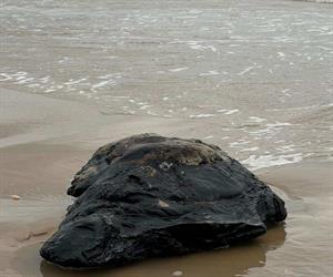 Detectan restos de hidrocarburo en Matamoros