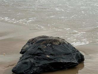 Detectan restos de hidrocarburo en Matamoros