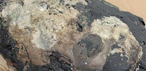 Detectan chapopote en la playa Bagdad