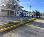 Refuerzan labores de  limpieza en la ciudad