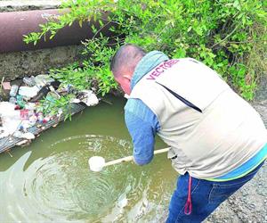 Continúan luchando contra el dengue