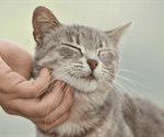 ¿Acariciar gatitos reduce el estrés?, profesora de la UNAM lo explica