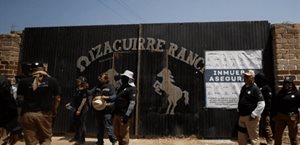 Colectivos de búsqueda confirman hallazgo de restos óseos en Jalisco