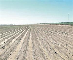 Se agudiza panorama agrícola