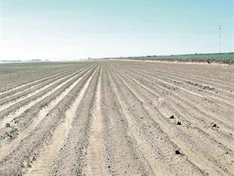 Se agudiza panorama agrícola