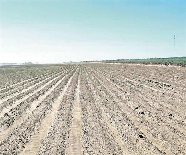 Se agudiza panorama agrícola