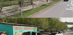 Entre tala y abandono, desaparece área verde